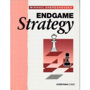 Endgame Strategy  by Shereshevsky, Mikhail