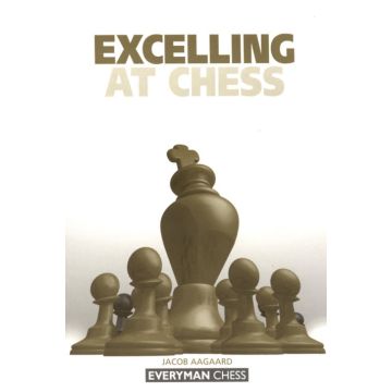 Excelling at Chess by Aagaard, Jacob 