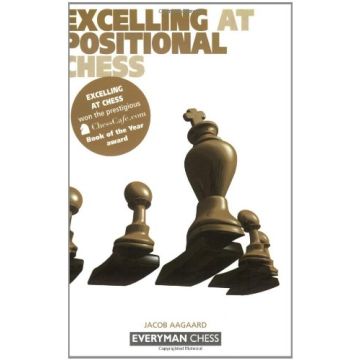 Excelling at Positional Chess by Aagaard, Jacob