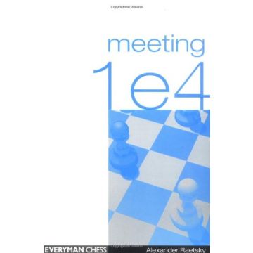 Meeting 1e4 by Raestsky, Alexander