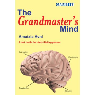 The Grandmaster's Mind - Avni