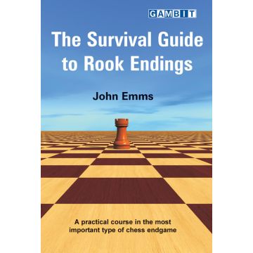 The Survival Guide to Rook Endings - Emms