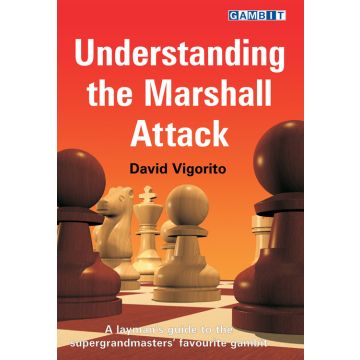 Understanding the Marshall Attack - Vigorito